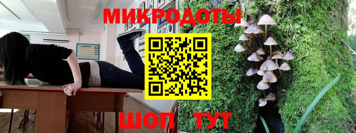 Елец  Галлюциногенные грибы Magic Shrooms  Вход с VPN 